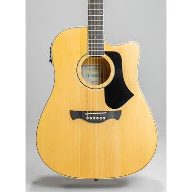 Tagima ANDES EQ Acoustic Guitars