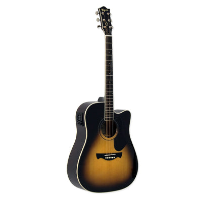 Tagima ANDES EQ Acoustic Guitars